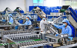 Nhiều doanh nghiệp làm việc xuyên Tết