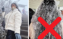 Thực hư hình ảnh cô gái ở Fansipan bị tuyết phủ kín tóc đang viral, khoan lên Sa Pa săn tuyết kẻo bị hớ!