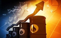 Tại sao giá dầu biến động lại quan trọng đối với nền kinh tế toàn cầu?