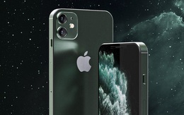 Ngoài iPhone 9 triệu, Apple còn một chiếc iPhone khác hấp dẫn không kém với kích thước siêu to, giá siêu rẻ?