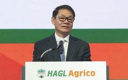 HAGL Agrico lần thứ 3 lỗ nghìn tỷ trong 6 năm, dự kiến 2022 hạch toán lỗ 2.400 tỷ đồng chi phí chuyển đổi vườn cây