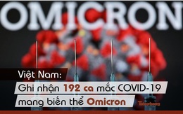 Việt Nam: Ghi nhận 192 ca mắc COVID-19 mang biến thể Omicron