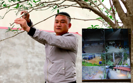 Ảnh: Đại gia Hà Thành xây cổng cao 4 mét, lắp 42 mắt thần bảo vệ vườn "củi khô" tiền tỷ