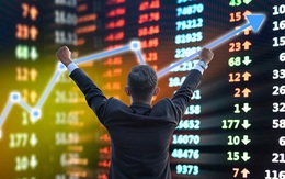 Dự phóng VN-Index chạm mốc 1.700 điểm, Agriseco Research "lì xì" nhà đầu tư 5 nhóm cổ phiếu đáng xuống tiền cho năm mới Nhâm Dần 2022