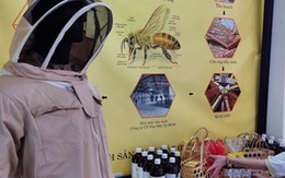Mật ong "đắng nghét" với thuế hơn 400% từ Mỹ