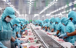 Nga bị loại khỏi SWIFT, xuất khẩu nông sản Việt Nam ảnh hưởng ra sao?