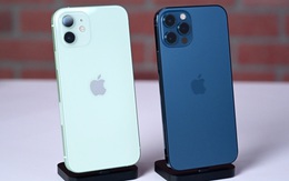 iPhone thống trị top 10 mẫu smartphone bán chạy nhất năm 2021