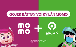 Gojek bắt tay kỳ lân MoMo, mở thêm lựa chọn thanh toán