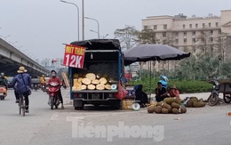 Nông sản xuất khẩu ách tắc, bày bán tràn ngập trên phố Hà Nội