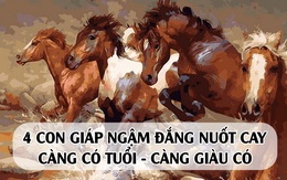 4 con giáp từng ngậm đắng nuốt cay, khi có tuổi lại hóa sướng, làm ăn phát đạt, sống sung túc giàu sang