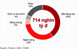 Cảnh báo trái phiếu “4 không”