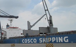 Vinacas muốn được Interpol Việt Nam hỗ trợ vụ 36 container điều bị mất kiểm soát