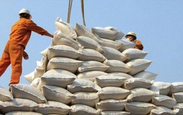 Giá lúa gạo đồng loạt tăng, cổ phiếu thực phẩm có hưởng lợi?