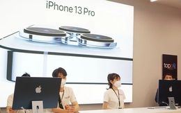 Điện thoại Apple tăng trưởng 66% tại Việt Nam