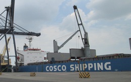Bộ Công Thương vào cuộc 'giải cứu' 36 container hạt điều xuất khẩu sang Italy có dấu hiệu bị lừa đảo