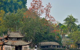 Ảnh: Tháng 3, ngắm hoa gạo nở đỏ rực bên trong ngôi chùa nghìn năm tuổi ở Hà Nội