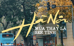 Dân tình “chạy vội” check-in mùa thay lá ở Hà Nội - thủ đô đang vào những ngày đẹp khó thở!