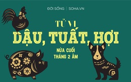 Tử vi Dậu, Tuất, Hợi nửa cuối tháng 2 âm: Vận đào hoa nở rộ, cần đề phòng tiểu nhân