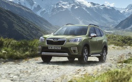 Subaru Forester giảm giá sâu gần 200 triệu đồng