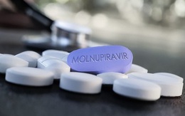 Đề xuất 2 phương án cung ứng thuốc Molnupiravir