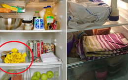 Dùng tủ lạnh chỉ để bảo quản thực phẩm thôi thì quá phí, đây là loạt công dụng hữu ích khác mà 99% người dùng không hề biết