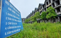 Chủ nhiệm Ủy ban Tư pháp: "Ngay Hà Nội có khu đô thị 10 năm chỉ có 1 nhà ở, cỏ mọc lút đầu, bỏ hoang"