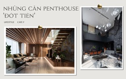 Những căn penthouse 'đốt tiền': Chủ nhà chịu chơi mang vách đá đen vào giữa phòng khách, cặp vợ chồng Hà Nội có hẳn hồ sen trên tầng 30, đặc biệt nhất căn hộ 200 tỷ đồng như bảo tàng