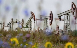 Các 'ông trùm' dầu mỏ đồng loạt cảnh báo giá dầu thô vượt 200 USD/thùng ngay năm nay
