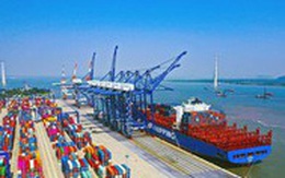 Hàng container qua cảng biển tăng mạnh