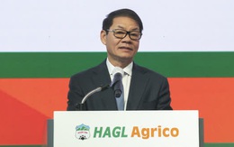 HAGL Agrico (HNG) bỏ ngỏ kế hoạch kinh doanh, dự kiến không trả cổ tức năm 2022