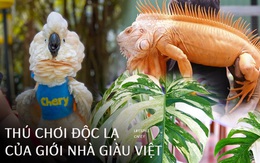 Thú chơi khác lạ của giới nhà giàu Việt: Bỏ hàng trăm triệu đồng để mua một chiếc lá, có phòng và thuê bảo mẫu để chăm vẹt