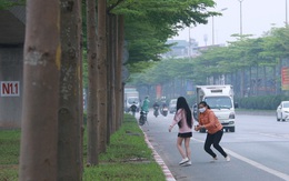 Hà Nội: Bất chấp nguy hiểm, nhiều người ra giữa đường chụp ảnh với hàng cây bàng lá nhỏ