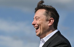 Sức mạnh khủng khiếp của Elon Musk: Tesla là hãng xe điện 'xịn' duy nhất giữa lúc giá dầu tăng, loạt công ty mới nổi từ đông sang tây đều không xứng là đối thủ