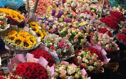 Ngày 8/3: Hoa hồng Đà Lạt tăng giá gấp đôi, hoa nhập ngoại cao gấp 2-3 lần so với trước Tết khiến các shop hoa chỉ dám nhập về cầm chừng