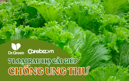 Bệnh viện K khuyến cáo: 7 loại rau họ CẢI được ví như "kháng sinh thiên nhiên" giúp chống lại các khối u ác tính, ngăn ngừa ung thư hiệu quả