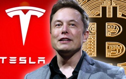 Tesla hợp tác với Block và Blockstream đào Bitcoin thân thiện với môi trường