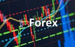 “Đầu tư trên sàn giao dịch Forex là mang tiền cho kẻ lừa đảo”