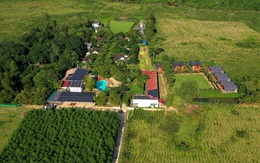 9X Hà Nội “bỏ phố về rừng”, đầu tư farmstay và nhận cái kết đắng, chuyên gia chỉ ra những sai lầm khiến nhà đầu tư "chết" vốn