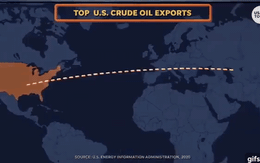 Nga giảm nguồn cung khiến Mỹ phải xả nhanh 180 triệu thùng dầu: Kết quả ra sao?