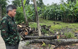 Tỉnh Thừa Thiên – Huế đính chính vụ lô đất xa TP có giá 45 triệu đồng/m2