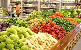 Một số loại nông, lâm, thuỷ sản của Việt Nam đột ngột tăng giá trị xuất khẩu nhờ Mỹ và Trung Quốc