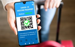 Hướng dẫn các bước đề nghị cấp Hộ chiếu vaccine trên web của Bộ Y tế để có thể du lịch nước ngoài