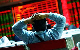 Cổ phiếu chứng khoán lại giảm sàn, quá khứ "ăn bằng lần" chẳng qua do nhà đầu tư "đi qua mùa hoa đẹp nhất"