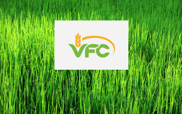 Doanh thu tăng mạnh, Khử trùng Việt Nam (VFG) báo lãi quý 1/2022 tăng trưởng tăng 63% so với cùng kỳ