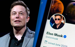Có tài sản hơn 200 tỷ USD, nhưng Elon Musk có thể không đủ tiền mua được Twitter