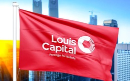 Louis Capital (TGG) bị phạt và truy thu thuế gần 1 tỷ đồng