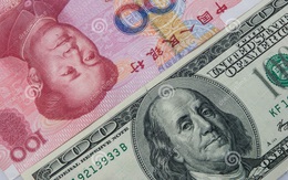 Đồng USD vẫn giữ vững vị thế, chứng minh "đẳng cấp" của đồng tiền quyền lực nhất thế giới?