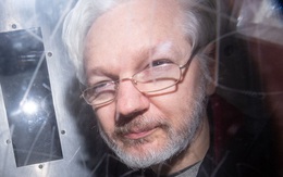 Cơn ác mộng đến với ông chủ WikiLeaks