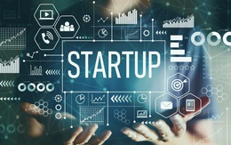 Vốn đầu tư mạo hiểm rót vào các startup tại Việt Nam cao kỷ lục