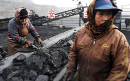 Nga không lo bị 'ế' dầu hay than, 'vị cứu tinh' cho ngành công nghiệp khai thác than nước này đã lộ diện